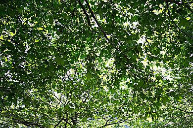 全新地图和怪物公布！《雨中冒险2》开发者日志#24